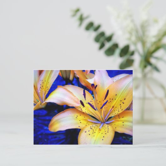 LilienArt ポストカード (スタンド正面)