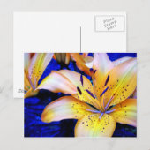 LilienArt ポストカード (正面/裏面)