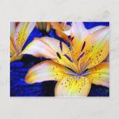 LilienArt ポストカード (正面)