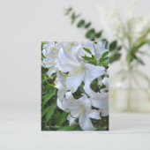 Lilium ‘Casa Blanca’  [Postcard] ポストカード (スタンド正面)