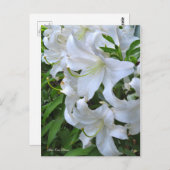 Lilium ‘Casa Blanca’  [Postcard] ポストカード (正面/裏面)