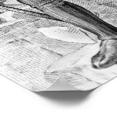 Lilles de Laval、Laisの主 ポスター (角)