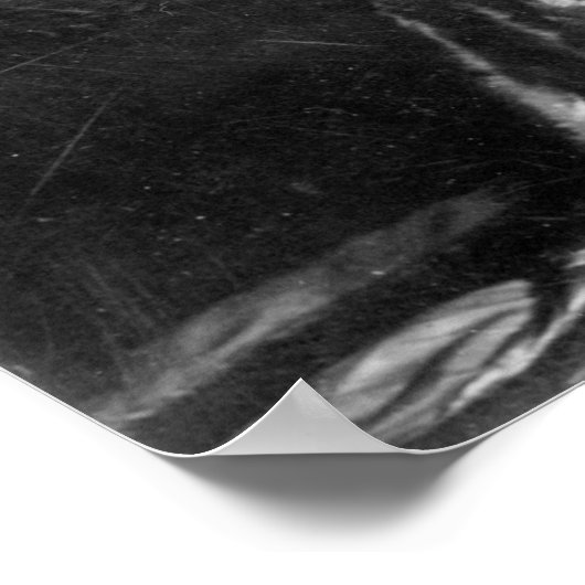 Lillian Gish Classic Poster ポスター (角)