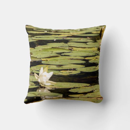 Lillyのパッド クッション (裏面)