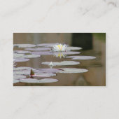 Lillyのユリの池Lillypads 名刺 (裏面)