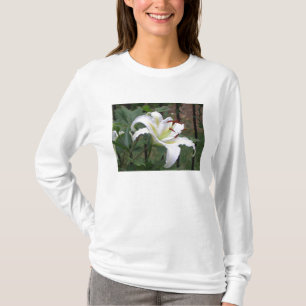 Lillyの殴打のデザイン Tシャツ