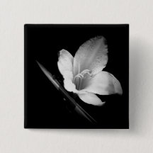 Lillyの氷1つのボタン