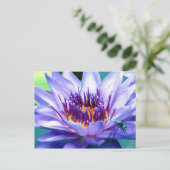 Lillyの郵便はがき ポストカード (スタンド正面)