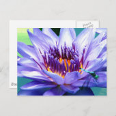 Lillyの郵便はがき ポストカード (正面/裏面)