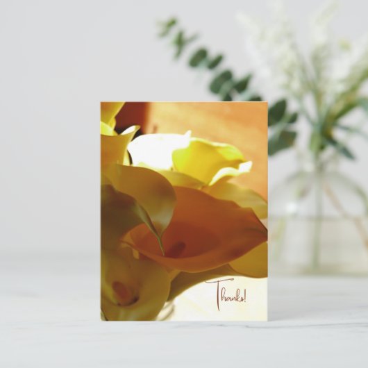 LILLYはがき ポストカード (スタンド正面)