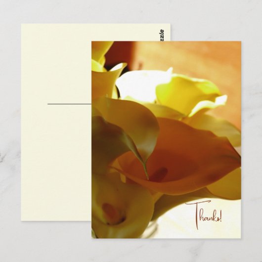 LILLYはがき ポストカード (正面/裏面)