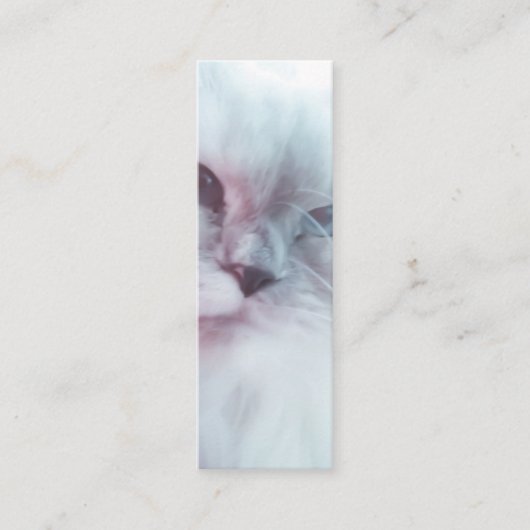 Lillyブックマーク スキニー名刺 (正面)