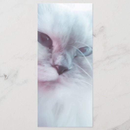 Lillyブックマーク メニュー (裏面)