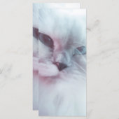 Lillyブックマーク メニュー (正面/裏面)