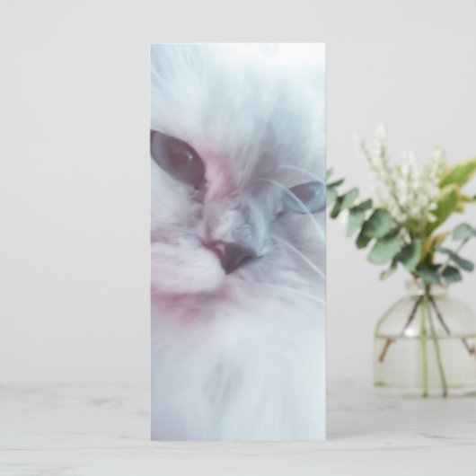 Lillyブックマーク メニュー (スタンド正面)