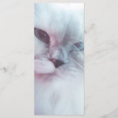 Lillyブックマーク メニュー (正面)