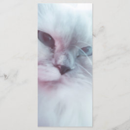 Lillyブックマーク メニュー