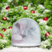 Lilly (クリスマス)