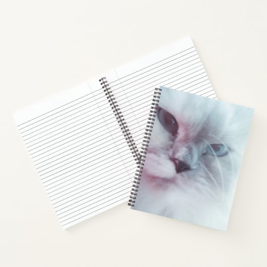 Lilly  ノートブック (内部)