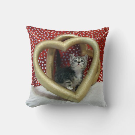 Liloの愛 – 猫/子猫装飾用クッション クッション (正面)