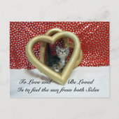 Lilo Cat主演の交配後のラブ引用文 ポストカード (正面)