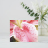 Lilyはがき ポストカード (スタンド正面)