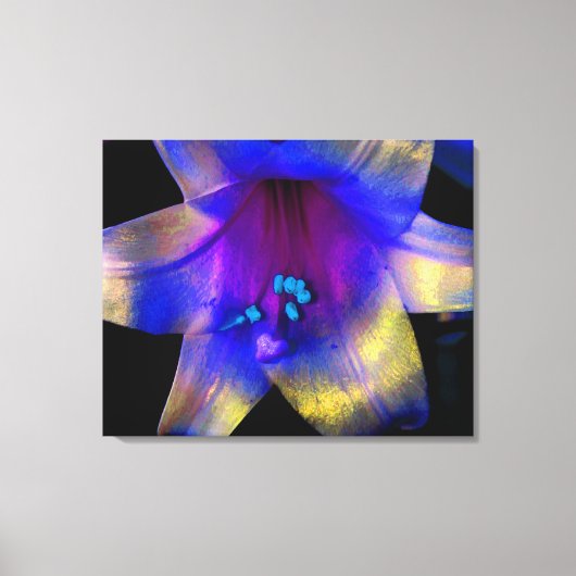 Lilyデジタル拡張キャンバスラップクワッド キャンバスプリント (正面)