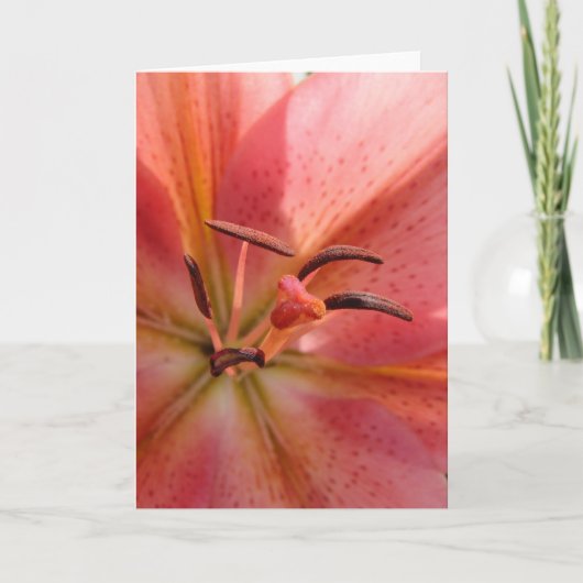 Lilyマクロ カード (正面)