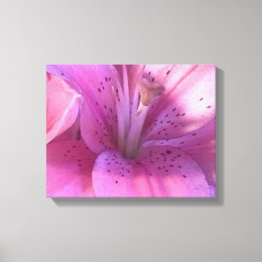 Lily写真キャンバスプリント キャンバスプリント (正面)