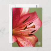 Lily垂直はがき ポストカード (正面/裏面)