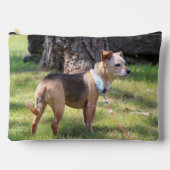 Lily アクセサリーポーチ (正面)