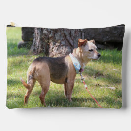 Lily アクセサリーポーチ