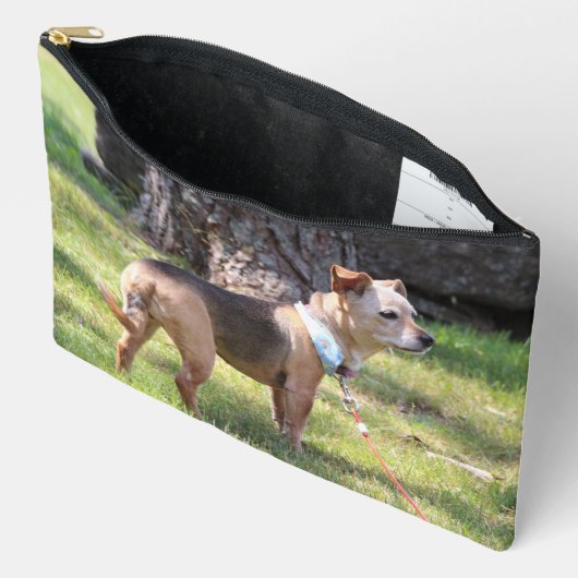 Lily アクセサリーポーチ (見開き)