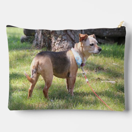 Lily アクセサリーポーチ (裏面)