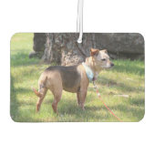 Lily カーエアーフレッシュナー (裏面)