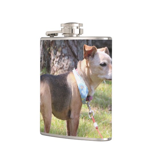 Lily フラスク (左)