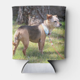 Lily 缶クーラー