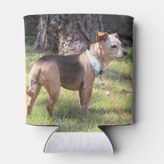 Lily 缶クーラー (裏面)