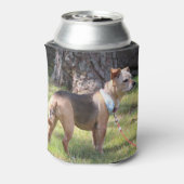 Lily 缶クーラー (缶裏面)