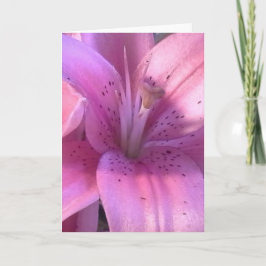 Lily All Purpose Greeting Card カード (正面)