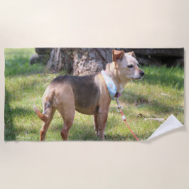 Lily Beach Towel ビーチタオル