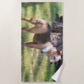 Lily Beach Towel ビーチタオル (正面)