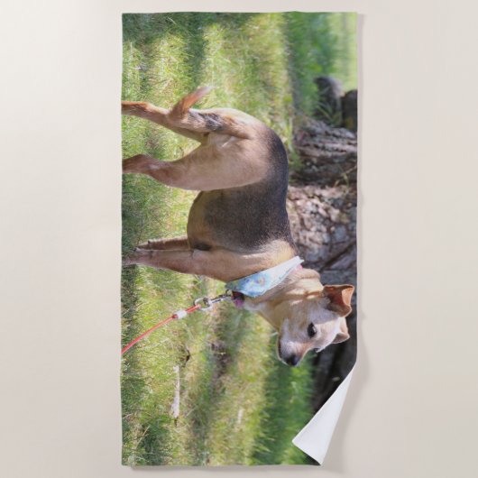 Lily Beach Towel ビーチタオル (正面)