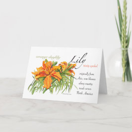 Lily Blank Card サンキューカード