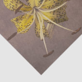 Lily by Ogawa Kazumasa  薄葉紙 (詳細)