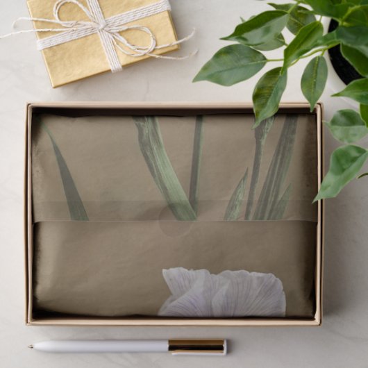 Lily by Ogawa Kazumasa 薄葉紙 (ギフト)