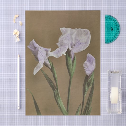 Lily by Ogawa Kazumasa 薄葉紙 (クラフト)