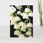 LILY FLOWERS PHOTO BIRTHDAY CARD カード (裏面)