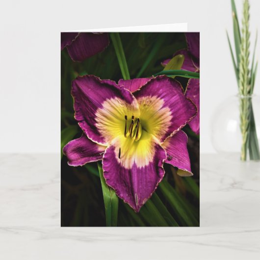 Lily & Ladybug、カード カード (正面)