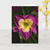 Lily & Ladybug、カード カード (黄色い花)